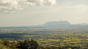 Olbia