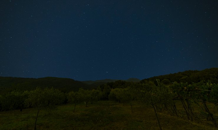 Il senza tetto è stato sequestrato e picchiato a sangue per due giorni interi