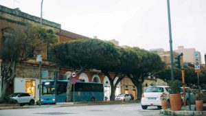 Trapani